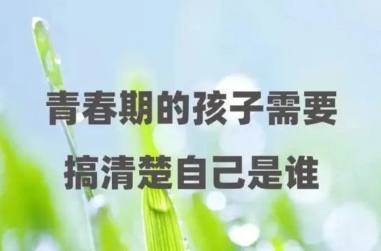64054657.webp.jpg